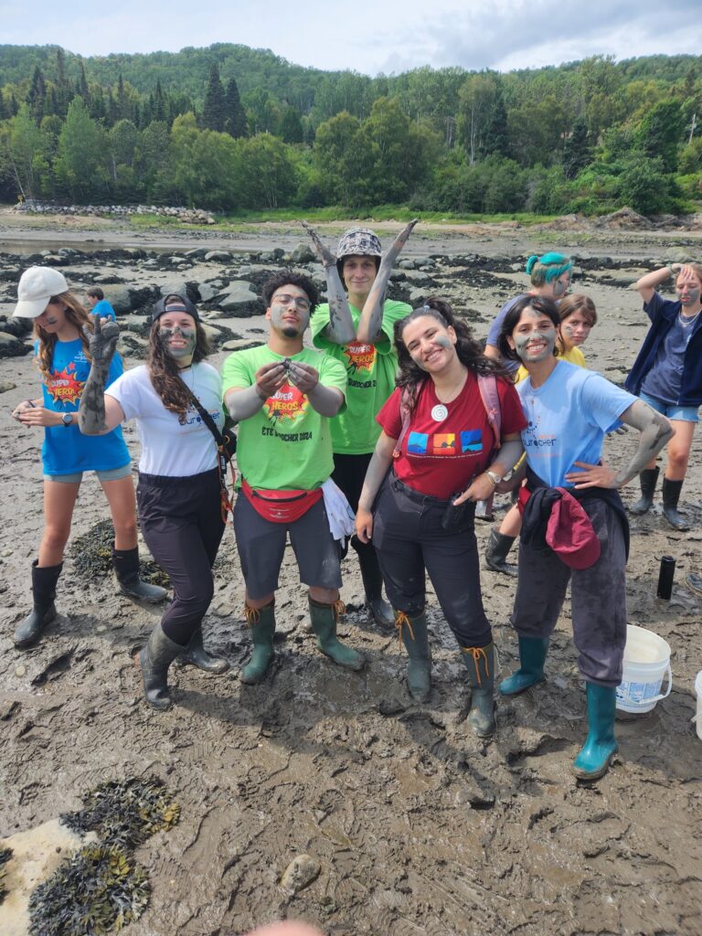 Community and Public Health Facilities in Quebec