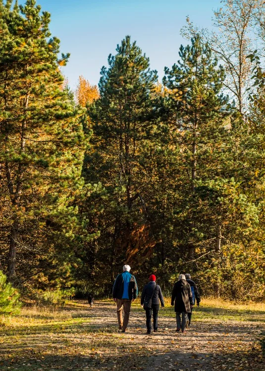 Public Locations and Trails for Cardio in Delta