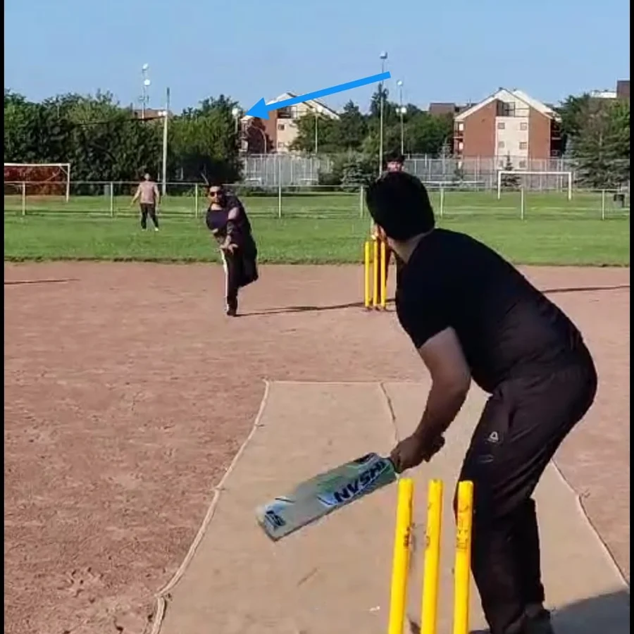 Public Locations and Trails for Cardio in Brossard