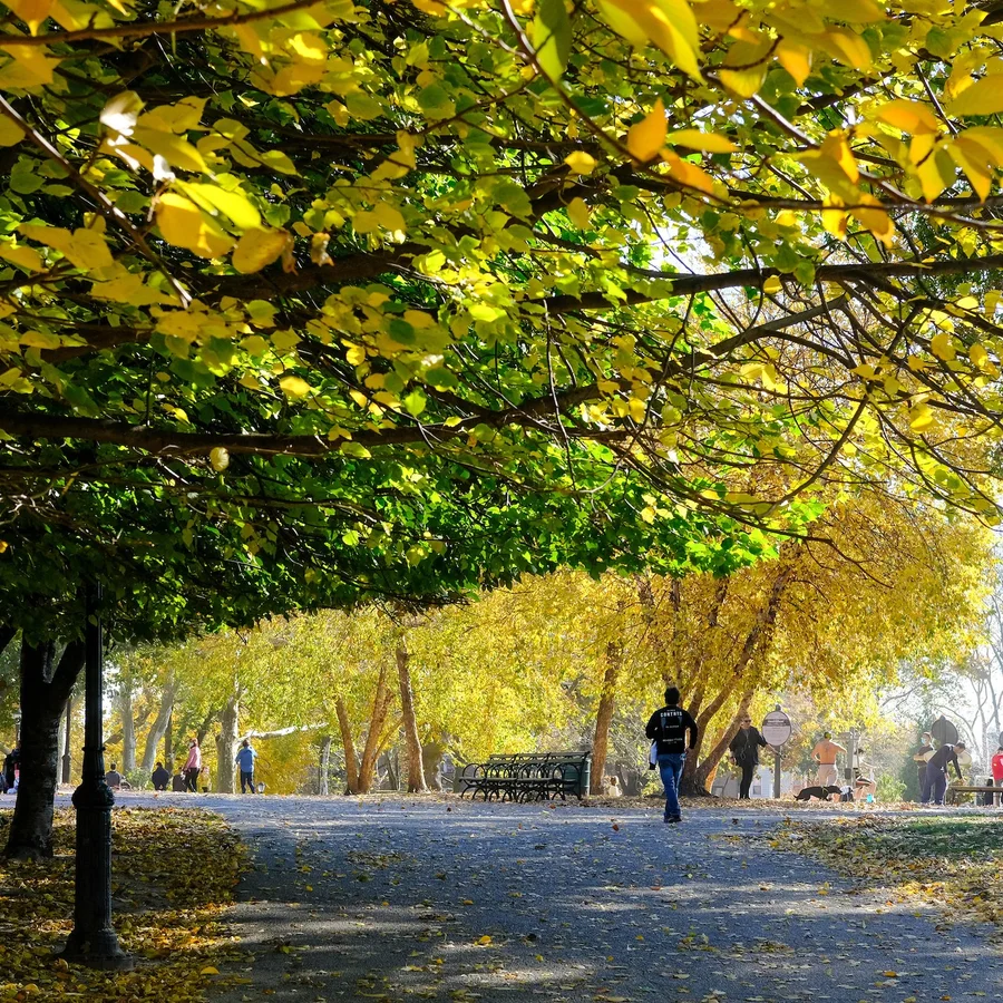 Public Locations and Trails for Cardio in Los Angeles