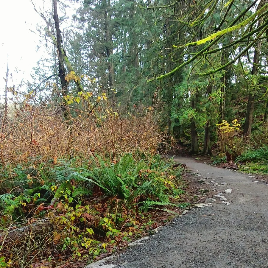 Public Locations and Trails for Cardio in Maple Ridge